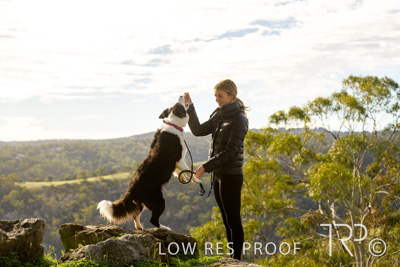 July 2021 / BOW_WOW_210713_331