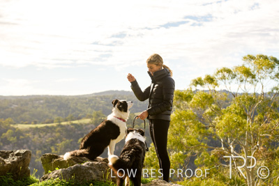 July 2021 / BOW_WOW_210713_333