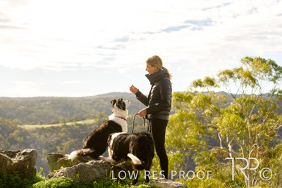 July 2021 / BOW_WOW_210713_334