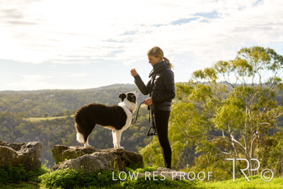 July 2021 / BOW_WOW_210713_335