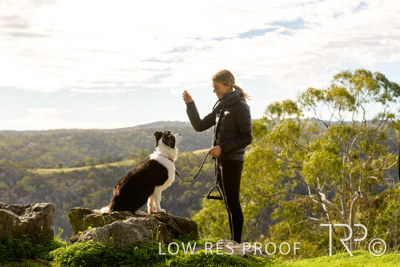 July 2021 / BOW_WOW_210713_336