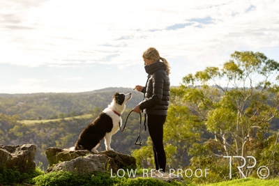 July 2021 / BOW_WOW_210713_337