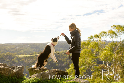 July 2021 / BOW_WOW_210713_340