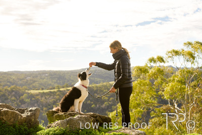 July 2021 / BOW_WOW_210713_343