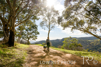 July 2021 / BOW_WOW_210713_429