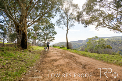 July 2021 / BOW_WOW_210713_434