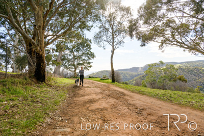 July 2021 / BOW_WOW_210713_435