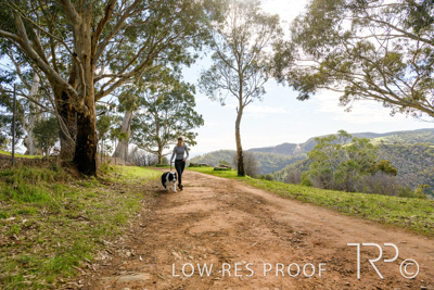 July 2021 / BOW_WOW_210713_436