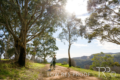 July 2021 / BOW_WOW_210713_440