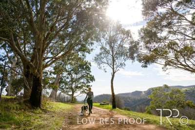 July 2021 / BOW_WOW_210713_441