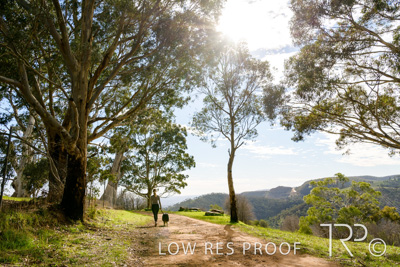 July 2021 / BOW_WOW_210713_446