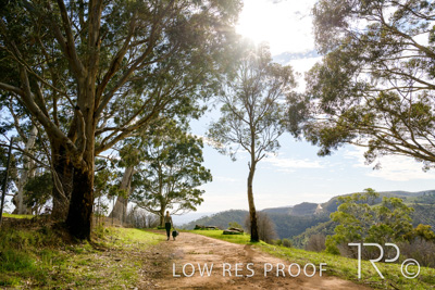 July 2021 / BOW_WOW_210713_447