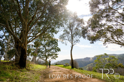 July 2021 / BOW_WOW_210713_448