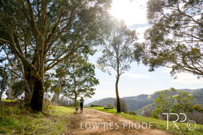 July 2021 / BOW_WOW_210713_449