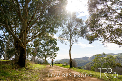 July 2021 / BOW_WOW_210713_455