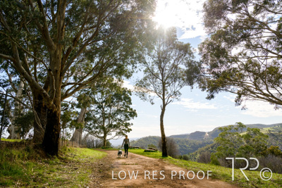 July 2021 / BOW_WOW_210713_456