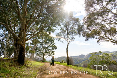 July 2021 / BOW_WOW_210713_457