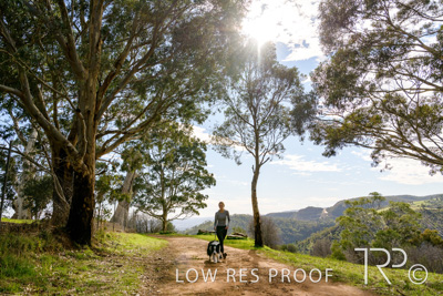 July 2021 / BOW_WOW_210713_458