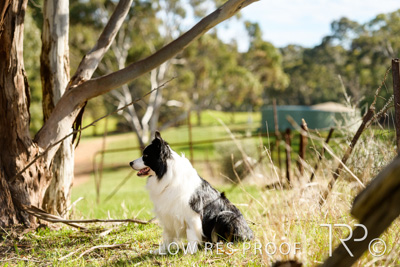 July 2021 / BOW_WOW_210713_462