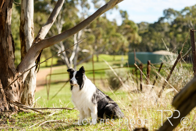 July 2021 / BOW_WOW_210713_463