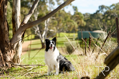 July 2021 / BOW_WOW_210713_464