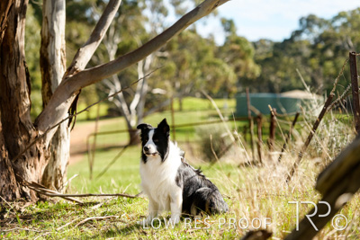 July 2021 / BOW_WOW_210713_467