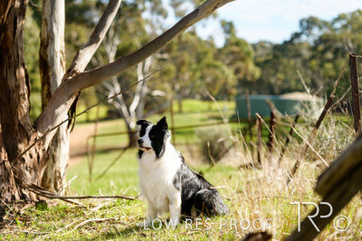 July 2021 / BOW_WOW_210713_468