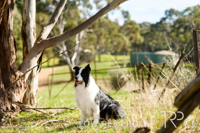 July 2021 / BOW_WOW_210713_469