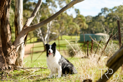 July 2021 / BOW_WOW_210713_470