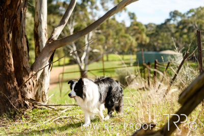 July 2021 / BOW_WOW_210713_471