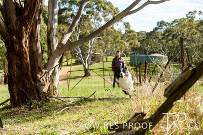 July 2021 / BOW_WOW_210713_473