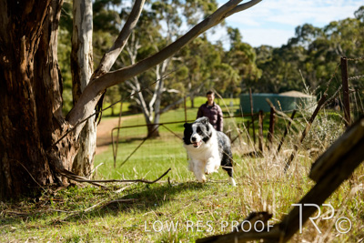 July 2021 / BOW_WOW_210713_474