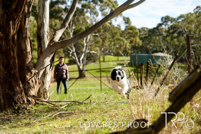 July 2021 / BOW_WOW_210713_475