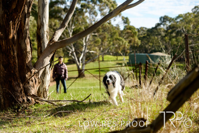 July 2021 / BOW_WOW_210713_476