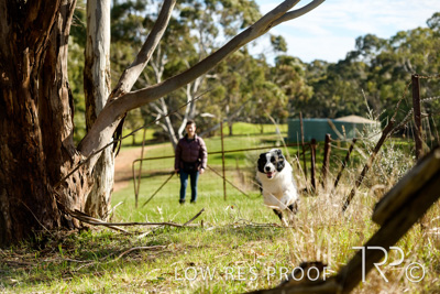 July 2021 / BOW_WOW_210713_478