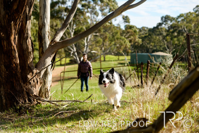 July 2021 / BOW_WOW_210713_479