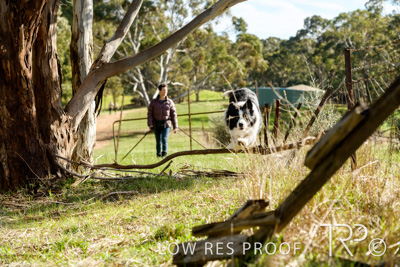 July 2021 / BOW_WOW_210713_480