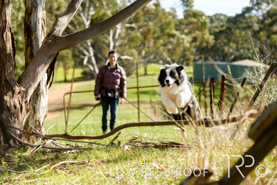 July 2021 / BOW_WOW_210713_481