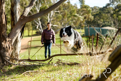 July 2021 / BOW_WOW_210713_482