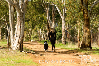 July 2021 / BOW_WOW_210713_485