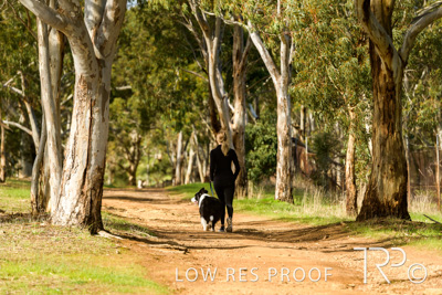 July 2021 / BOW_WOW_210713_486