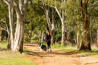 July 2021 / BOW_WOW_210713_487