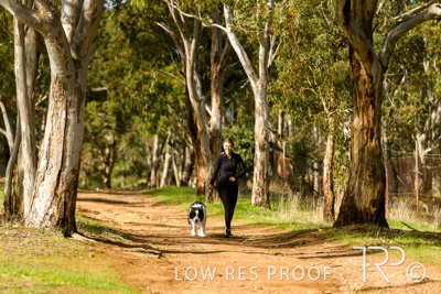 July 2021 / BOW_WOW_210713_495