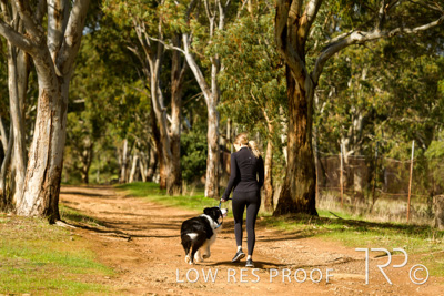 July 2021 / BOW_WOW_210713_502