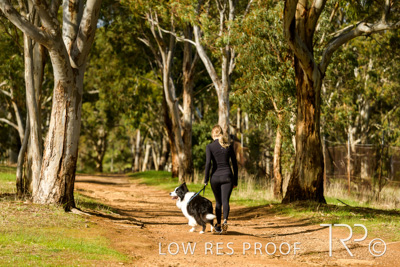 July 2021 / BOW_WOW_210713_503