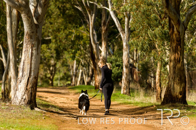 July 2021 / BOW_WOW_210713_504