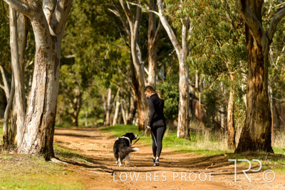 July 2021 / BOW_WOW_210713_505