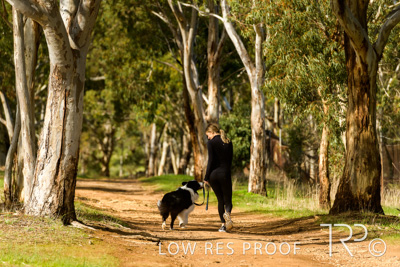 July 2021 / BOW_WOW_210713_506