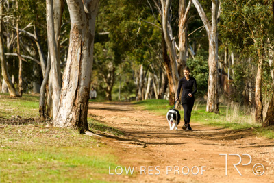 July 2021 / BOW_WOW_210713_514