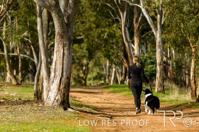 July 2021 / BOW_WOW_210713_516